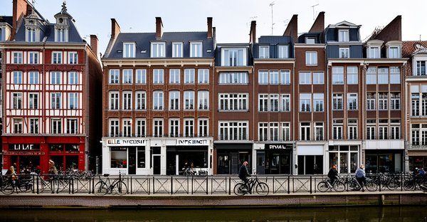 Investissement locatif à lille : guide des quartiers rentables